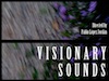 visionary sounds